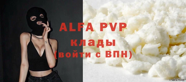 spice Аркадак