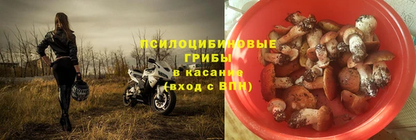 бошки Армянск