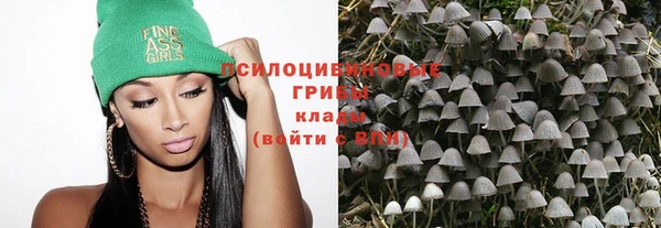 мет Арсеньев